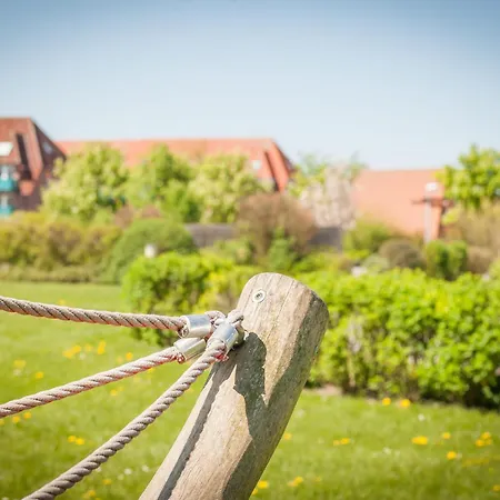 Vogelsand 06 * דורום נויפלד