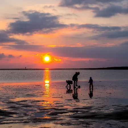 Vogelsand 06 בית נופש