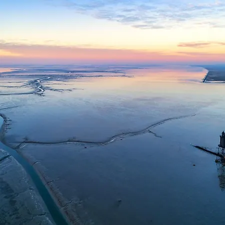 Vogelsand 06 דורום נויפלד