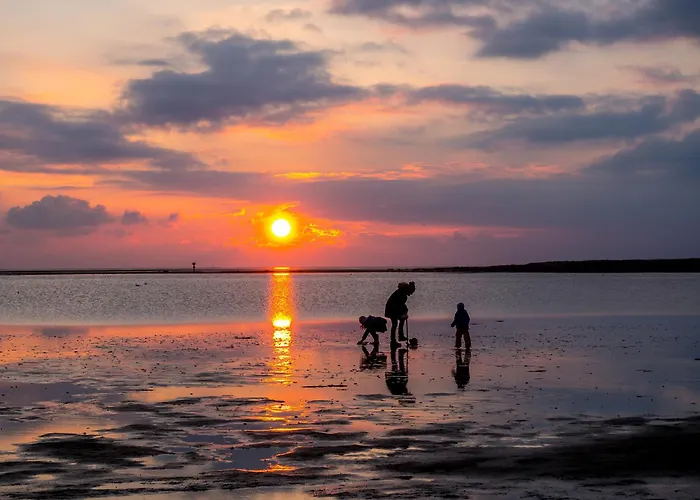 Vogelsand 06 بيت للعطل