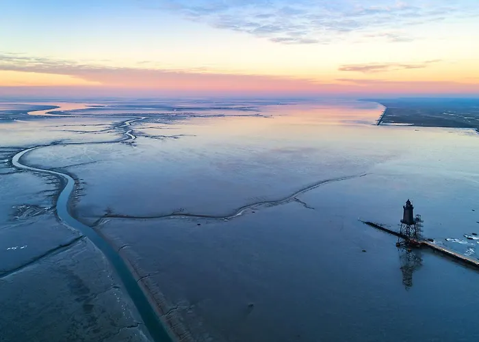 Vogelsand 06 دورم نيوفيلد