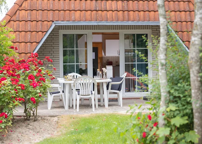 Vogelsand 06 * دورم نيوفيلد